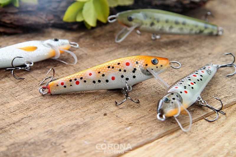 pstrągowy wobler na płytką wodę